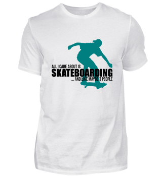 Skateboarding enthusiasts