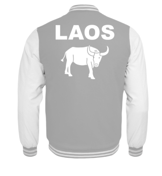 Asien Laos - Wasserbüffel