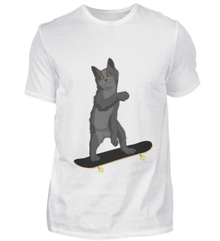 Skatercat Skating Cat Katze