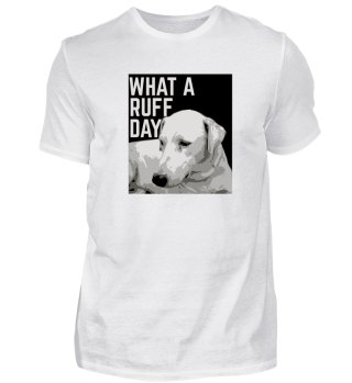 WHAT A RUFF DAY Labrador Hund Geschenk