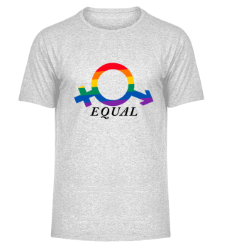 LGBT Rainbow Equal Flag Shirt