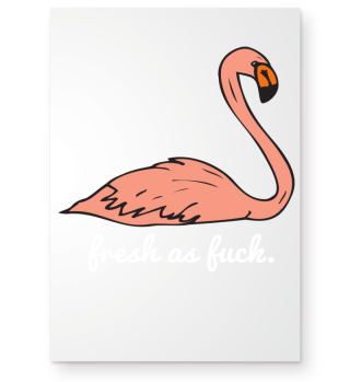 Flamingo fresh