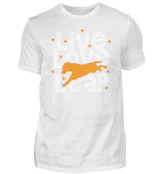 Live Love Leap