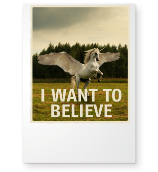 i want to believe - Limited Edition