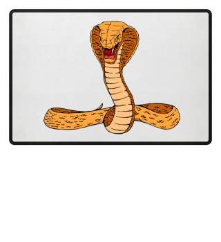Kobra orange gefährliche Schlange