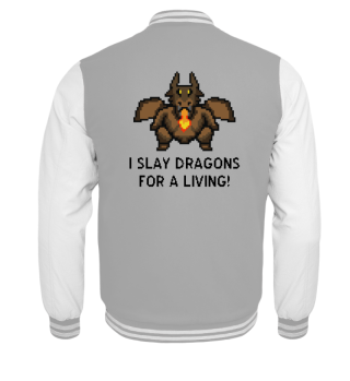 I slay Dragons for a living Gaming shirt