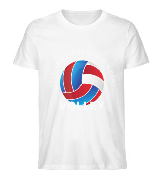 Volley Volleyball