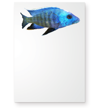 Tolles Fisch Design