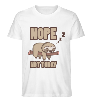 Funny Sloth Nope Nope Not Today Fun Fun 