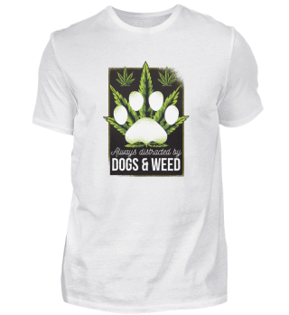 Dogs and marijuana