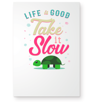 Life is Good Take it Slow Turtle Gift