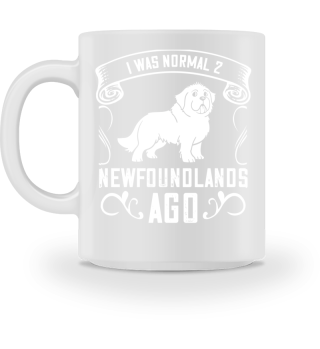 Newfoundland Dog Newfie Puppies Owner