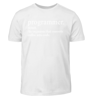 Programmer noun