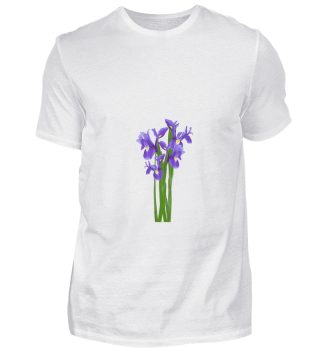 Flower Spring Iris - Gift Idea
