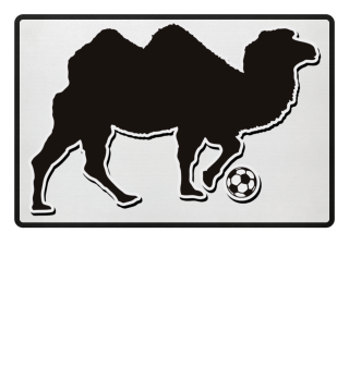 ★ Play Soccer - Casual Kicking Camel 1