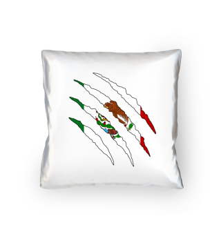 Mexiko Flagge WM Kissen Geschenk