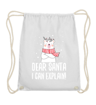 Christmas polar bear I can explain it