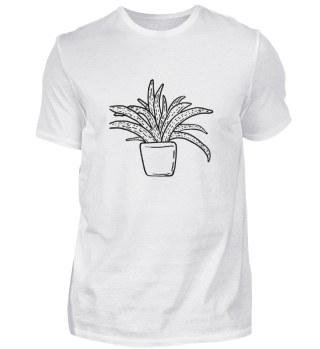 minimalistic Cactus