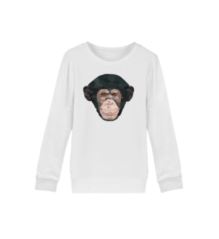 Modern Chimpanzee