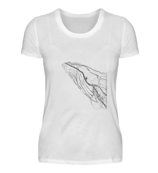Whale Art Sketch Mammal Empty Space Creature