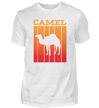 Kamel -Schattenspiel im Sonnenuntergang