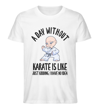 A Day Without Karate Is Like