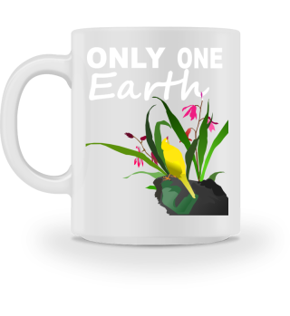 Only one Earth