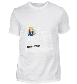 D001-0421A Female Architect Architektin 