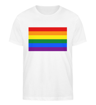LGBTQIA+ PRIDE HERREN ORGANIC SHIRT
