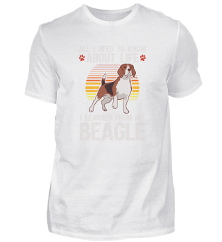 Beagle Jagdhund Hunde Züchter Besitzer