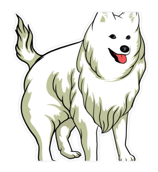 Samoyed Dog White Cartoon