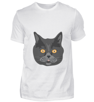 Cat British Shorthair Cat Face - Gift