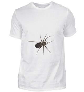 D010-0387A Spinne / Spider