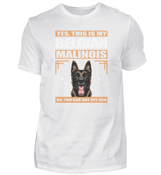 Malinois Belgischer Schäferhund Hund