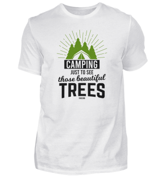 beautiful trees in the forest while camp