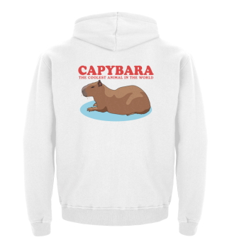 Capybara Capybaras Wasserschwein