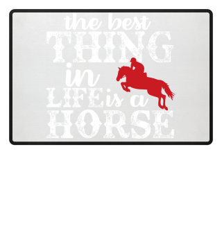 The best thing in life is a horse