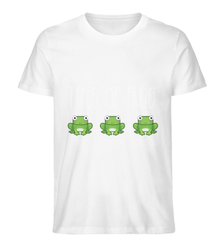 Frog type amphibian frogs