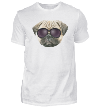 Funny pug, Cute french bulldog with glasses 