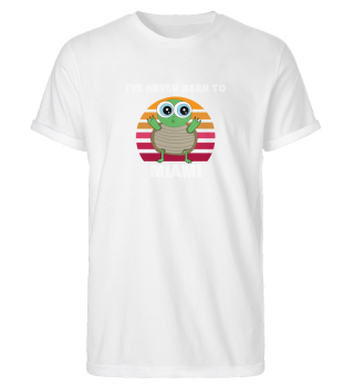 I've Never Been to Miami - turtle