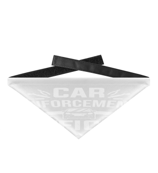 Car Mechanical Enforcement Officer Car Mechanic