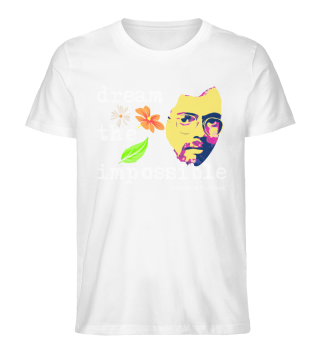 Dream The Impossible | Terence McKenna