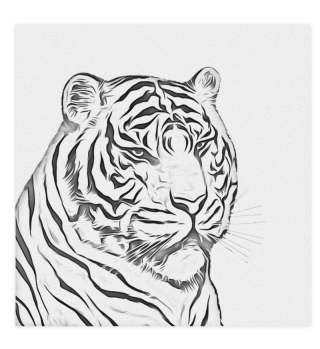 Tiger Art Sketch African Empty Space Creature