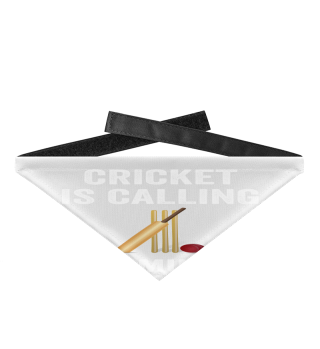 Cricket - Cricket is Calling I Must Go Cricketer Batsmen Bowler