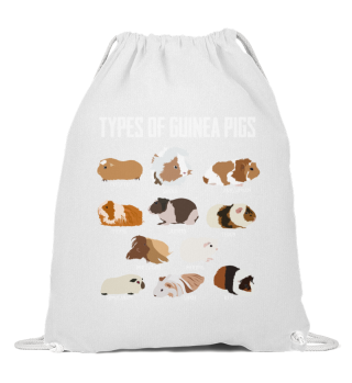 Guinea Pig Types Rodents Animal Gift