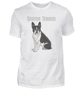 Boston Terrier Hunde Hundebesitzer