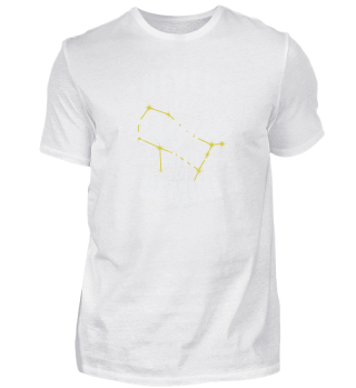 Sternzeichen Never argue with an Gemini