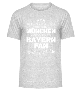 Bayern Shirt