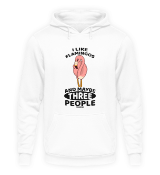 I Like Flamingos And Maybe Three People