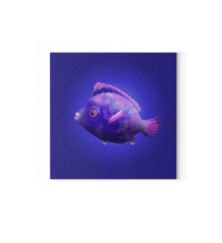 Rundlicher Riff-Fisch in Violett